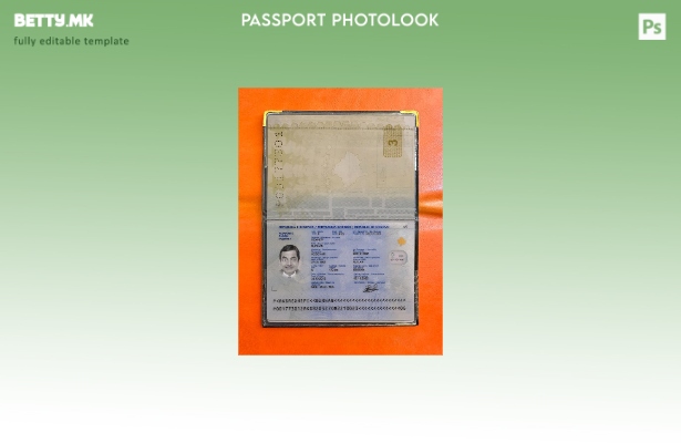 Модерен стилски шаблон за слика за косовски пасош